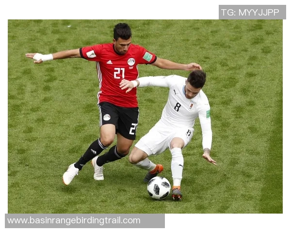 俄罗斯与埃及足球对决精彩回顾尽在优酷平台全方位解析赛事亮点与精彩瞬间