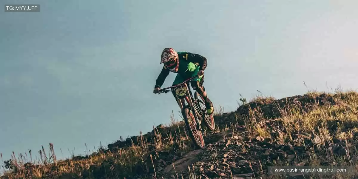 👟潮流装备，个性定制！从球鞋到球衣，打造专属你的运动风格！🎾